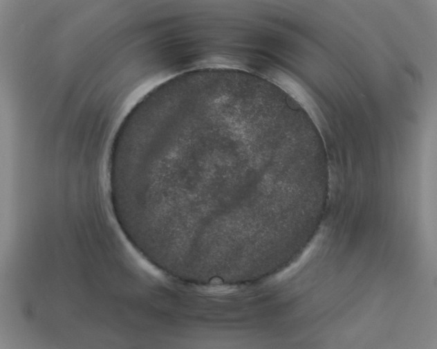 X0000113241141200910081252