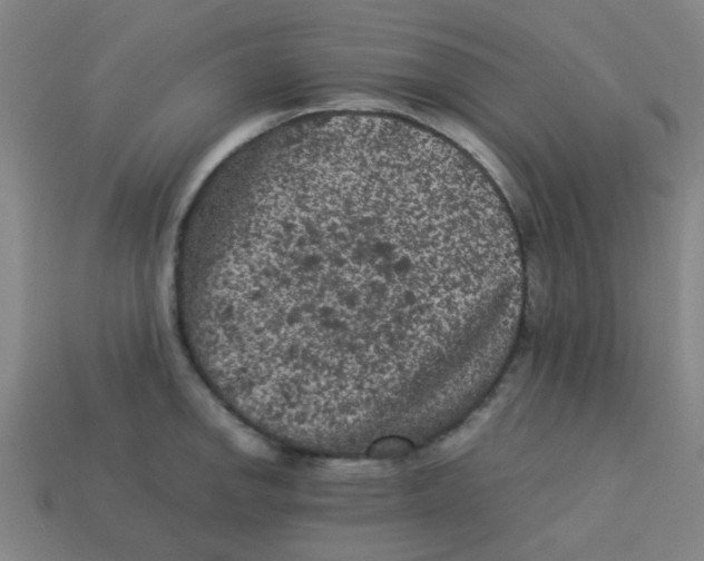 X0000113241142200910081252