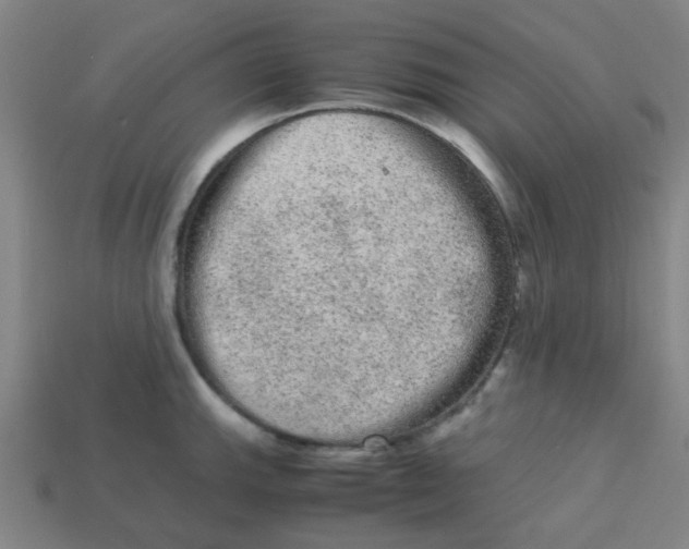 X0000113241143200910081252