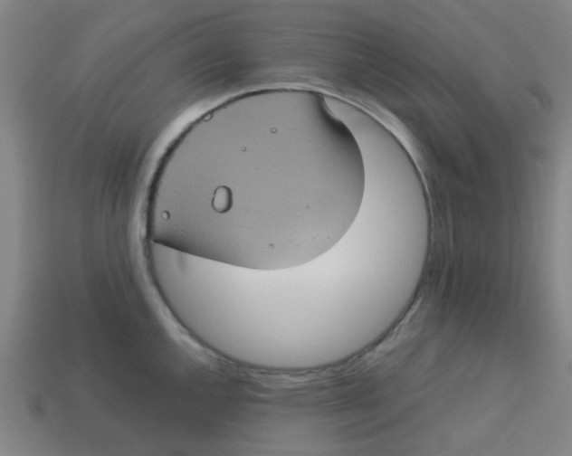 X0000113241144200910081252