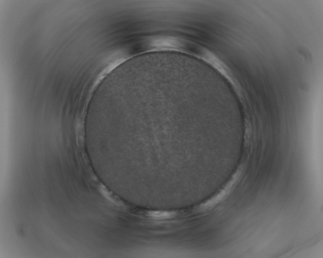 X0000113241145200910081252