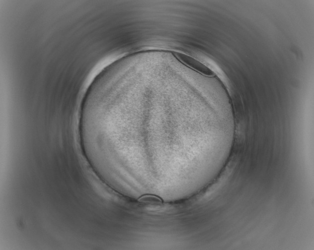 X0000113241146200910081252