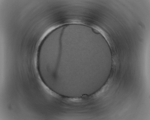 X0000113241147200910081253