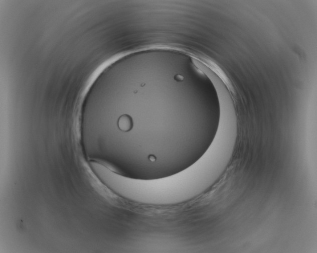 X0000113241148200910081253