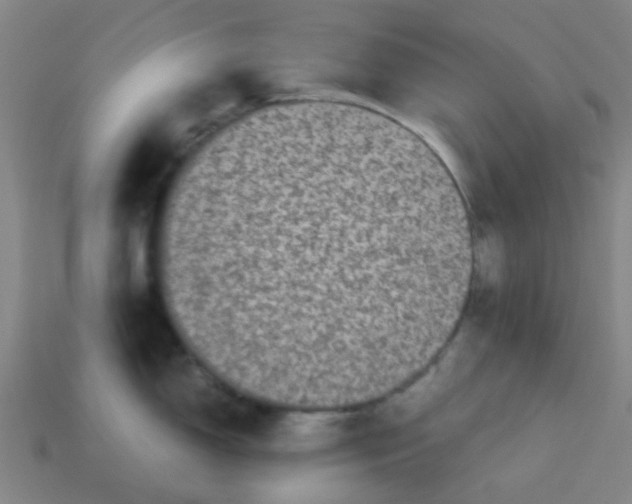 X0000113241150200910081253