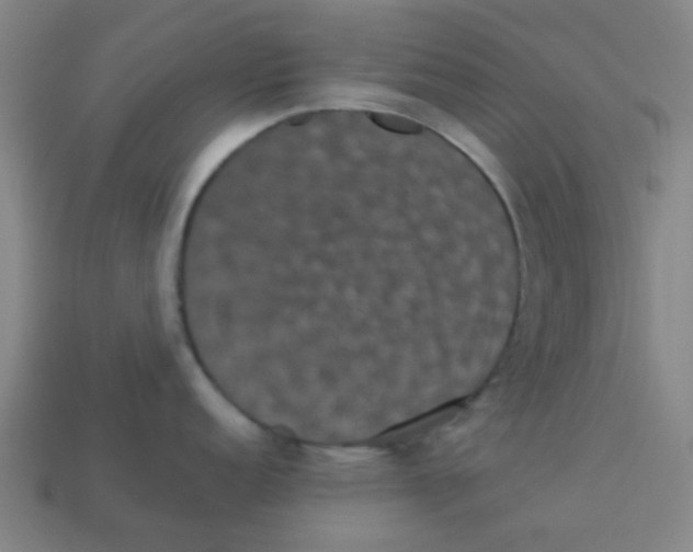 X0000113241152200910081253