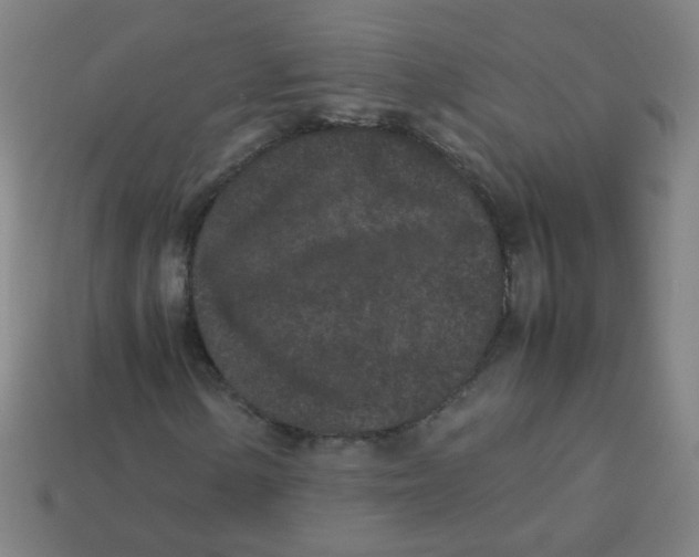 X0000113241154200910081252