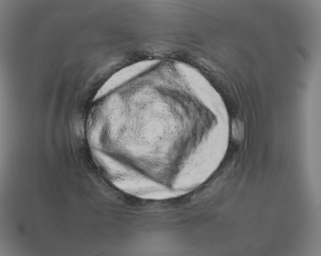 X0000113241155200910081252