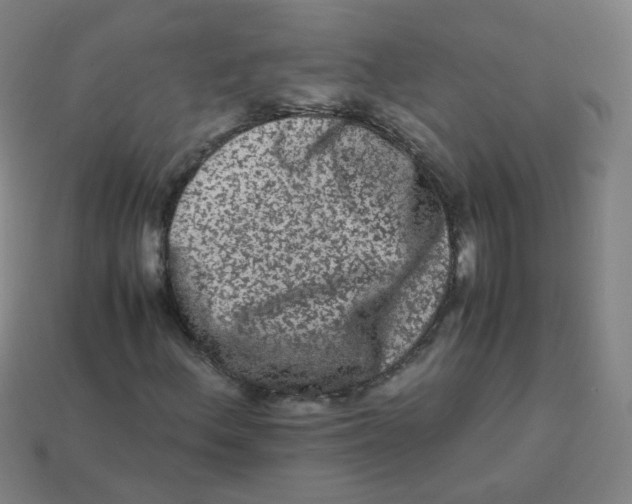 X0000113241156200910081252