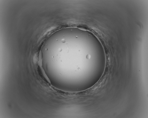 X0000113241157200910081252
