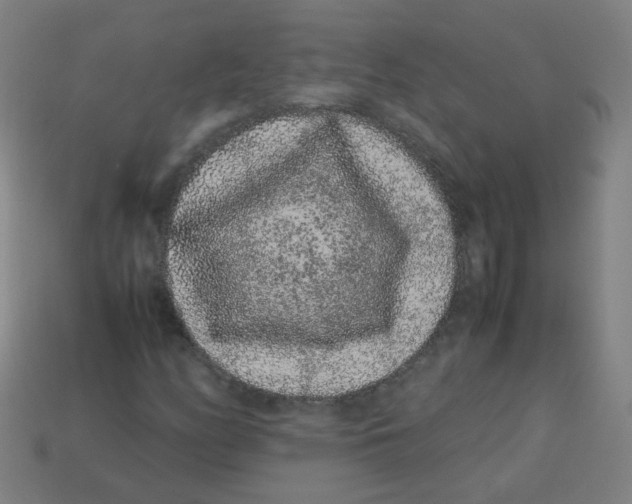 X0000113241158200910081252