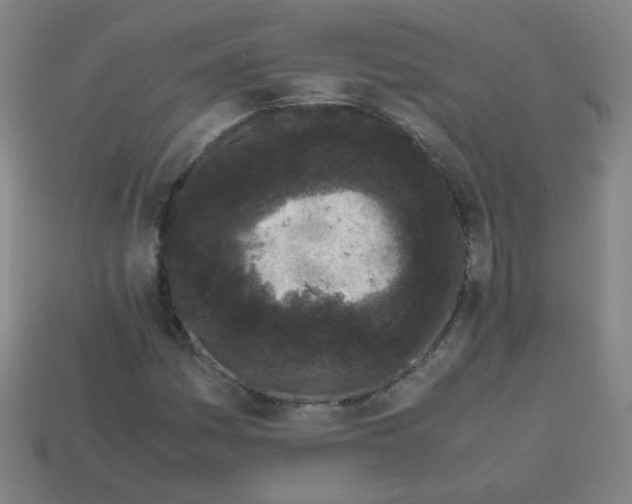 X0000113241161200910081252