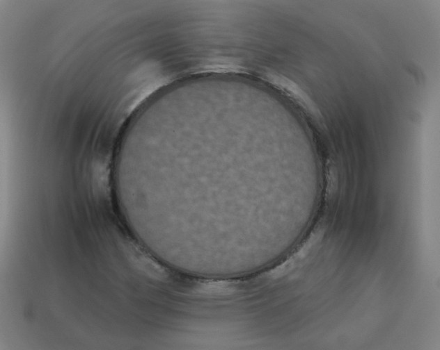 X0000113241162200910081252
