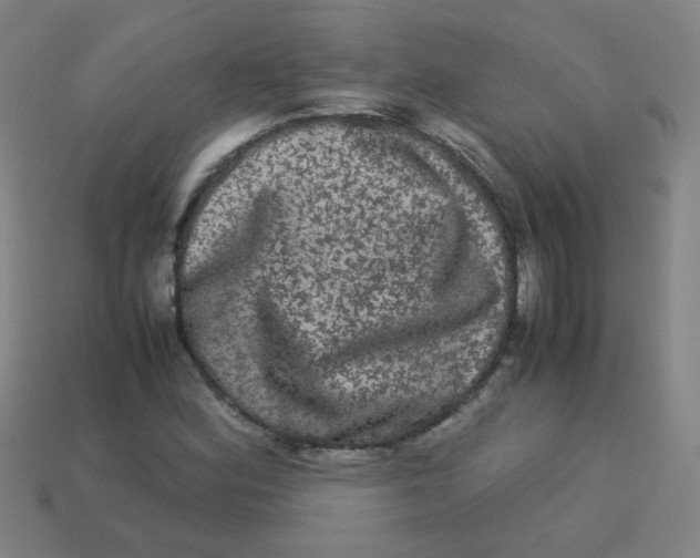 X0000113241164200910081252