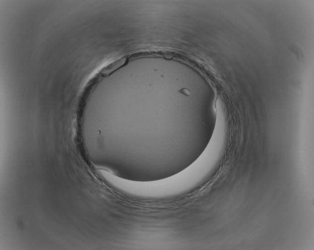 X0000113241165200910081252