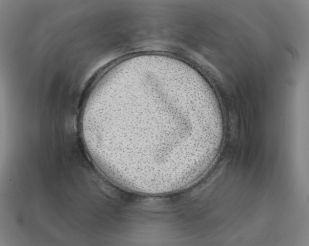 X0000113241166200910081252