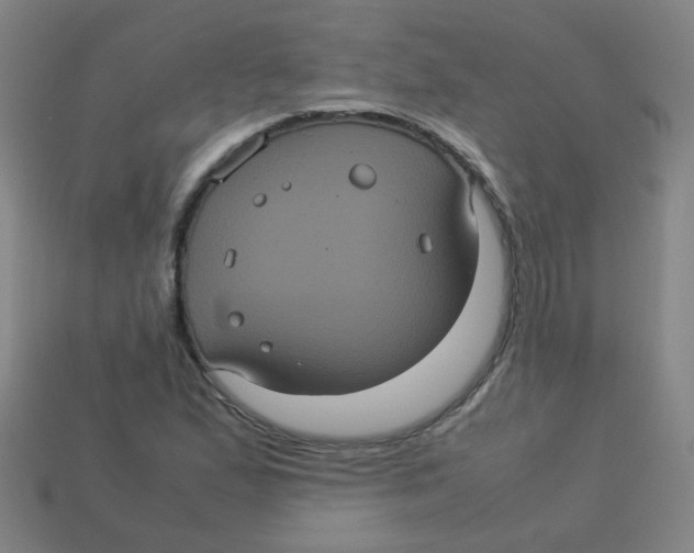 X0000113241167200910081252