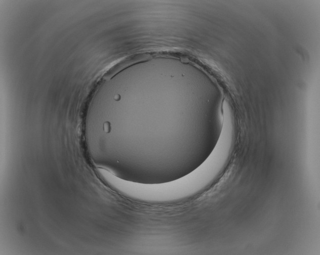 X0000113241169200910081252