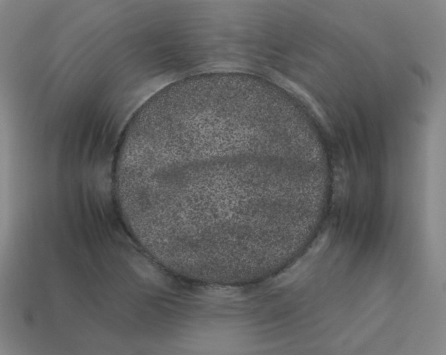 X0000113241170200910081252