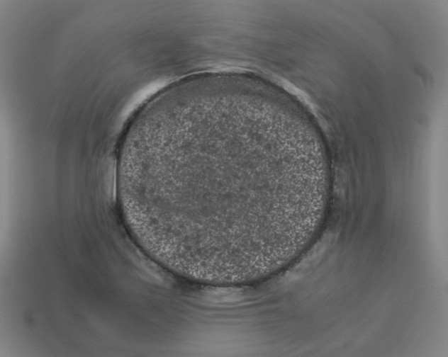 X0000113241171200910081252
