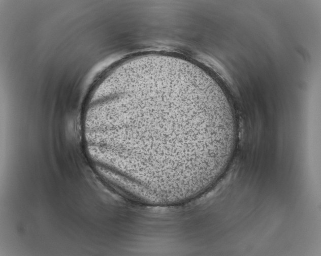 X0000113241172200910081252