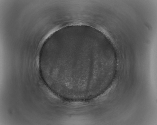 X0000113241173200910081252