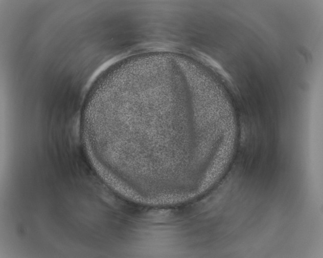 X0000113241174200910081252