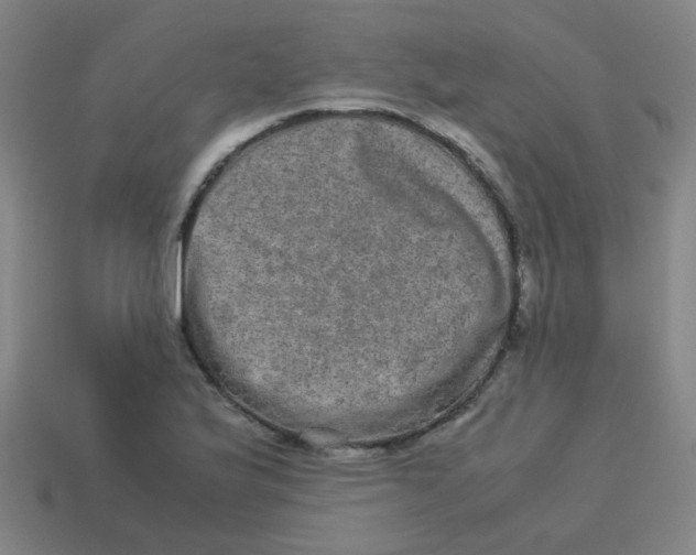 X0000113241175200910081252
