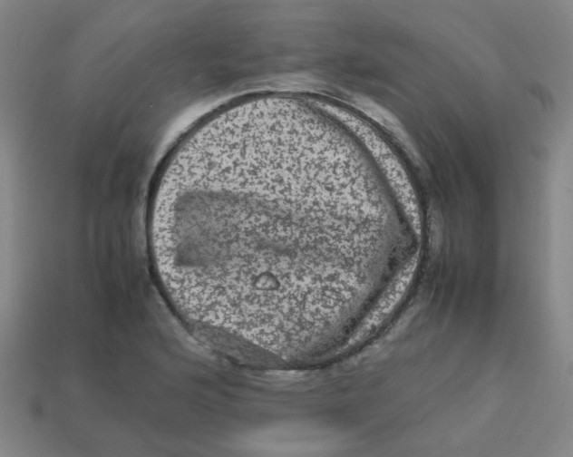 X0000113241176200910081252
