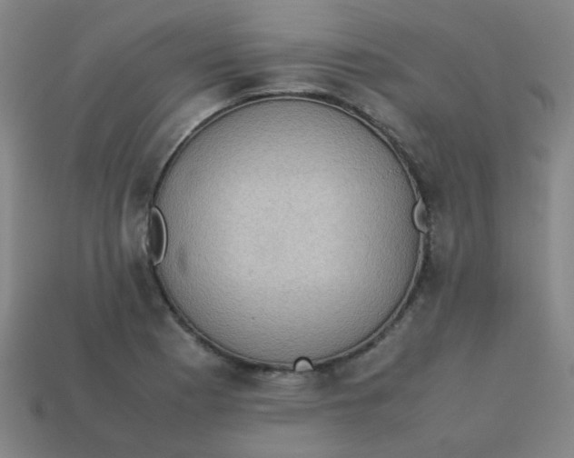 X0000113241177200910081252