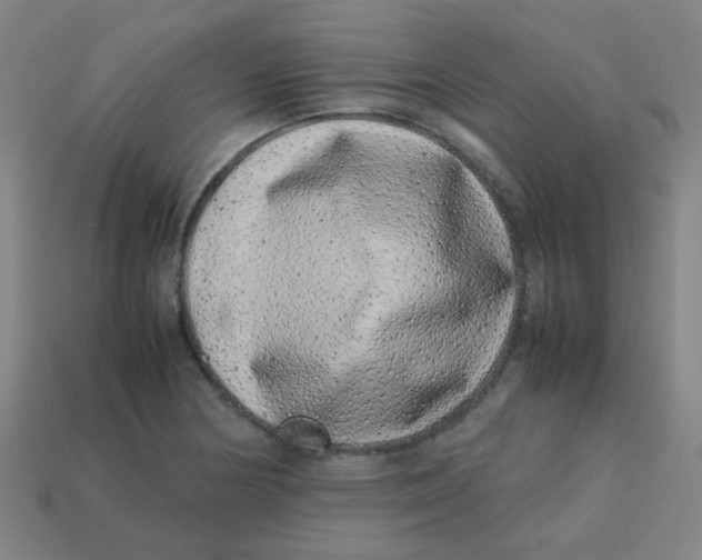 X0000113241178200910081252