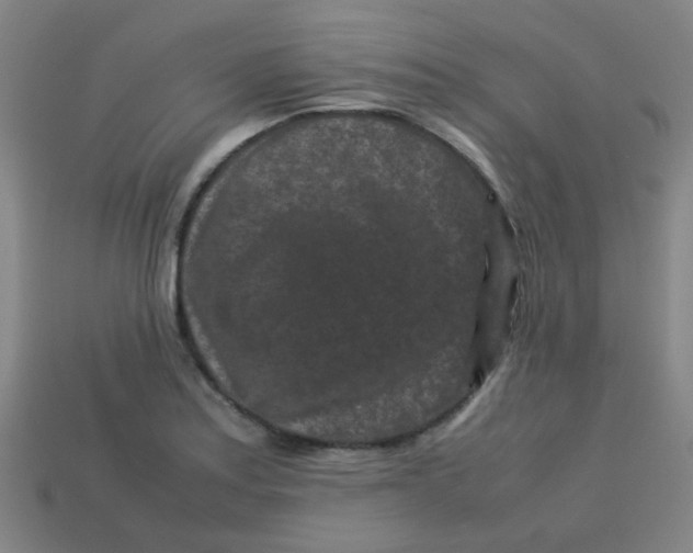 X0000113241179200910081252