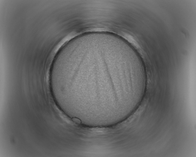 X0000113241181200910081252