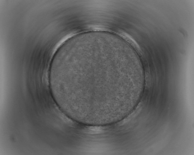 X0000113241182200910081252