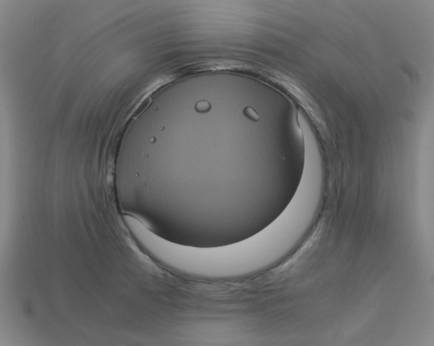 X0000113241185200910081252