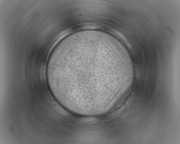 X0000113241186200910081252