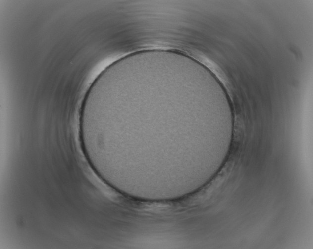 X0000113241187200910081252