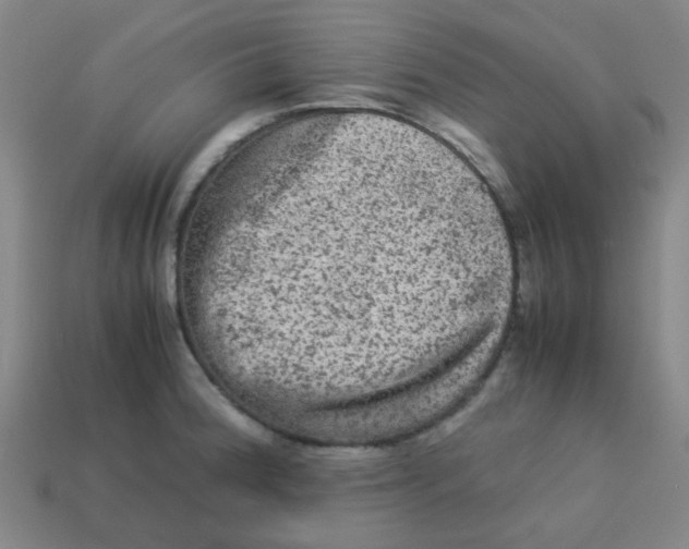 X0000113241188200910081252