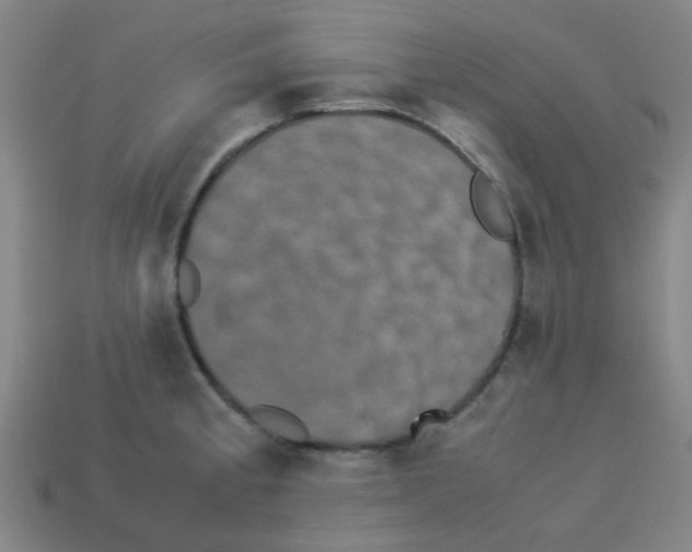 X0000113241189200910081252