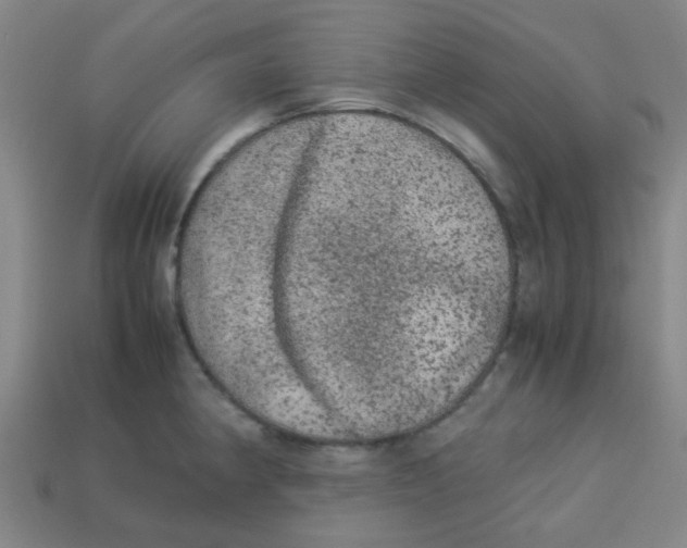 X0000113241190200910081251