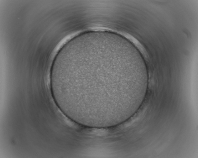 X0000113241191200910081251