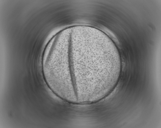 X0000113241192200910081251