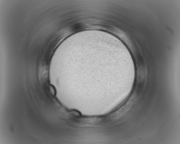 X0000113241193200910081251