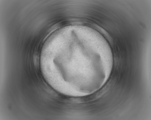 X0000113241194200910081251