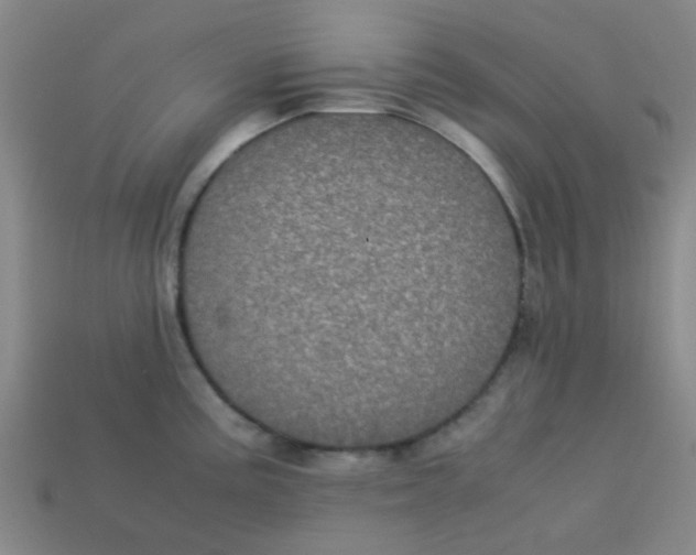 X0000113241195200910081251