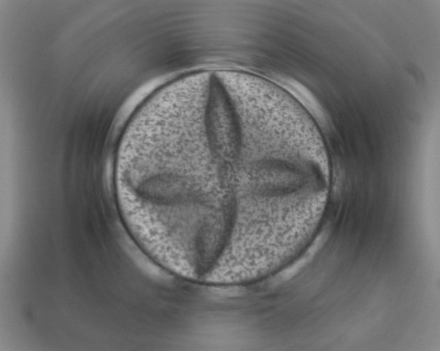 X0000113241196200910081251