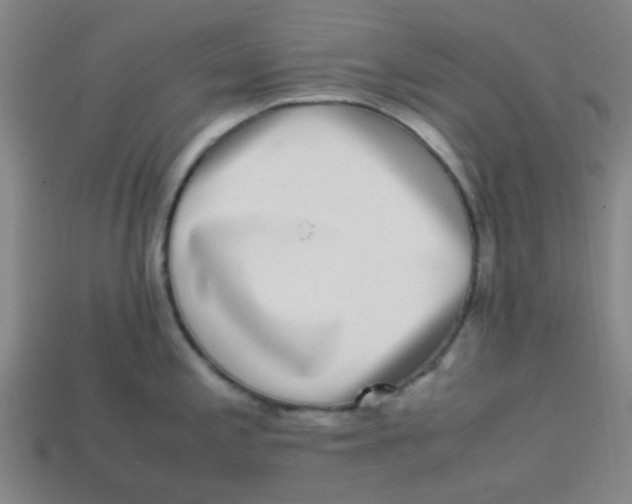 X0000113241197200910081251