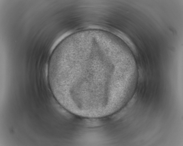 X0000113241198200910081251