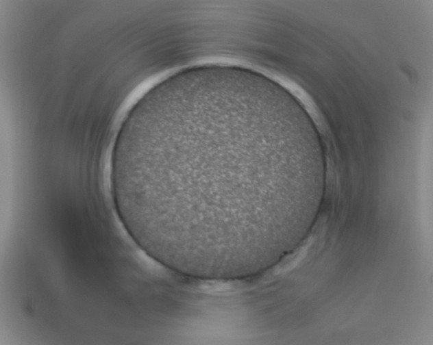 X0000113241199200910081251