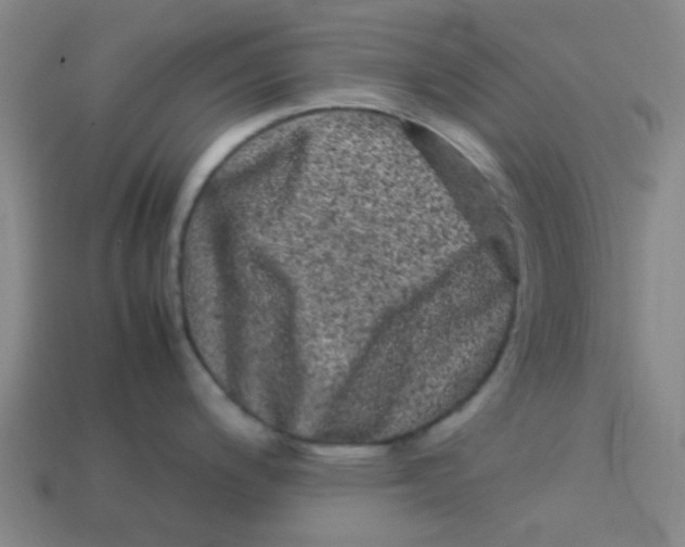 X0000113241200200910081251